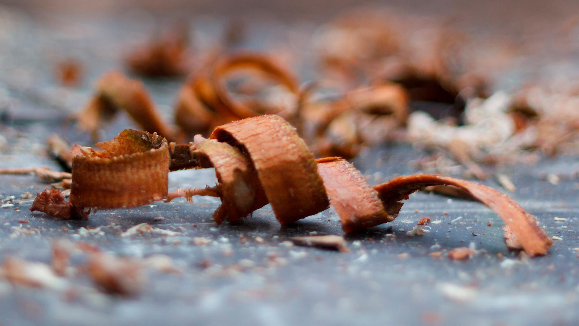 Got wood? Tech is ensuring we never suffer another lumber shortage